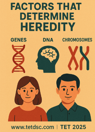 Prepare for TET & DSC exams with free mock tests, study materials, and expert guidance at www.tetdsc.com. Ace your teaching career with quality resources! www.tetdsc.com